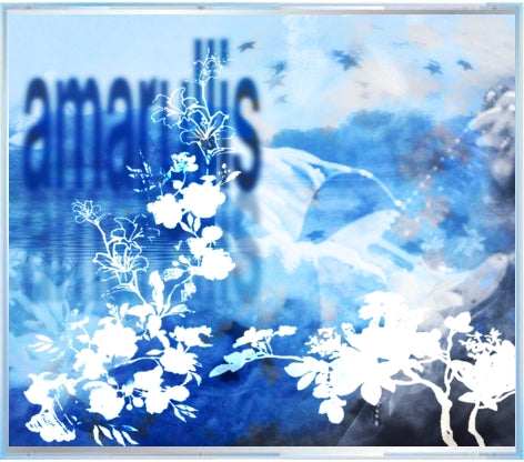 AMARYLLIS - blürry CD