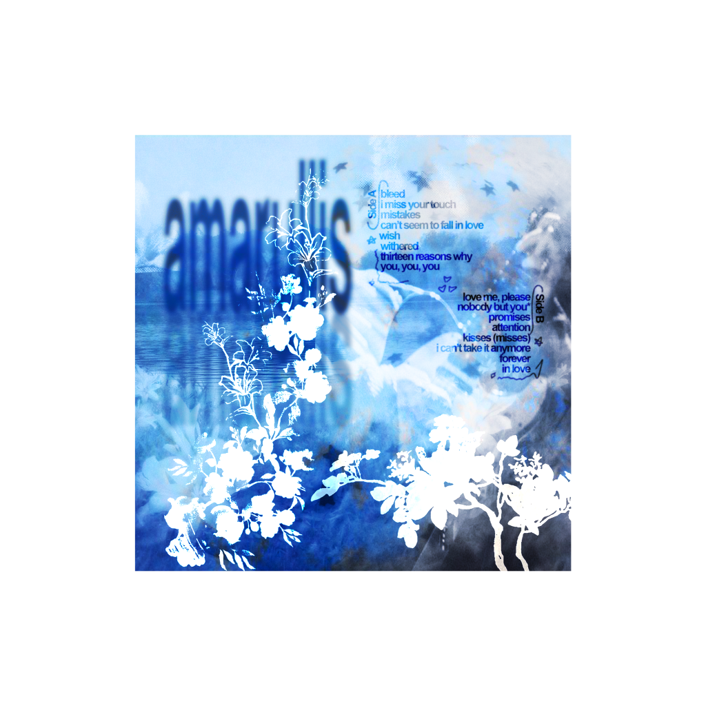 AMARYLLIS - blürry vinyl