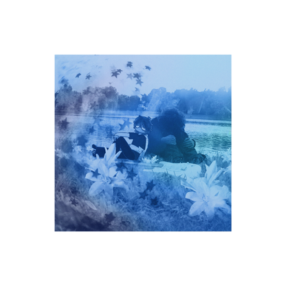 AMARYLLIS - blürry vinyl